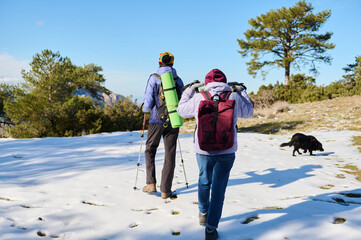 Hikers With Backpacks Trek Across Snowy Trail as Dog Explores Distant Landscape