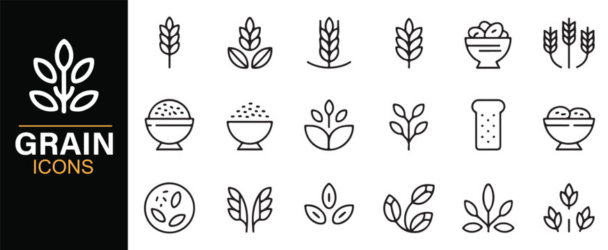Editable grain and seed icon pack for nutrition and food design