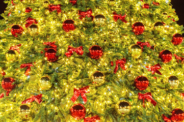 Christmas ornaments on tree