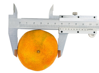 Measuring the diameter of a mandarin with a caliper