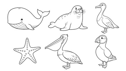 Obraz premium Marine Life Vector Illustrations Collection