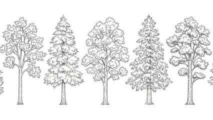 Fototapeta premium Illustration of Various Tree Species in a Neutral Background