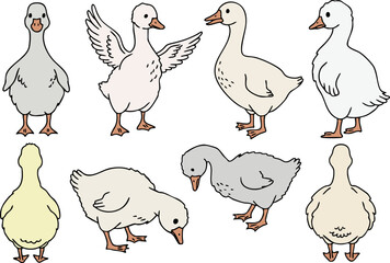 Cute Goose Character Collection, Vector Set of Farm Birds in Different Poses