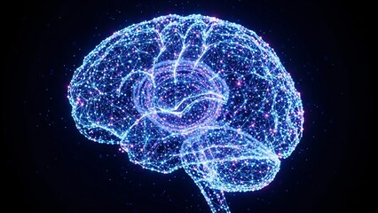 Digital representation of human brain with neural connections