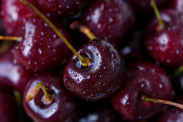 A mound of ripe cherries with stems lies in a fruit bowl. The fruits are red to dark red, covered...