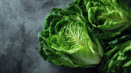 Fototapeta premium Two heads of romaine lettuce sit on a gray surface. The lettuce has crisp leaves and is well formed. Natural daylight highlights its colors and textures.