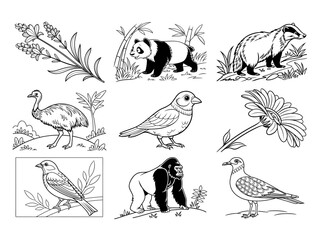 coloring page line art the animal bird and flower black vector bundle