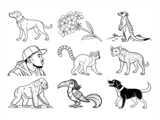 coloring page line art the animal bird and flower black vector bundle