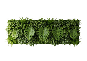 Lush green wall with various tropical leaves