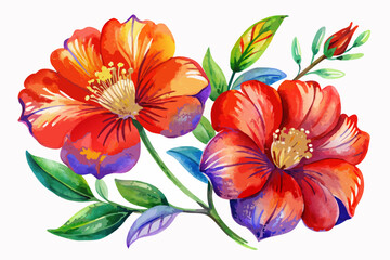 Vibrant red and orange flowers with green leaves on white background