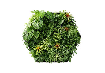 Lush indoor vertical garden