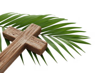 Palm leaf with wooden cross on transparent background for palm sunday or easter