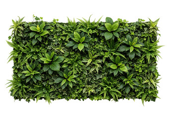 Lush green vertical garden
