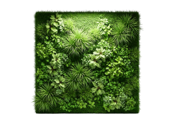 Lush green vertical garden