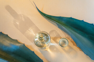 Mezcal artisanal bottle with agave leaves from puebla, mexico