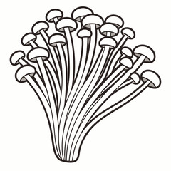 Enoki mushroom vector on white backgro