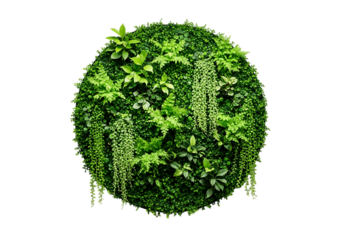 Lush green vertical garden