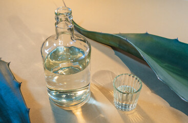 Mezcal spirit bottle with shot glass and agave leaf