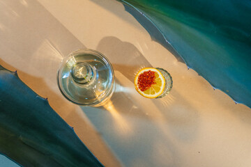 Mezcal bottle on a light surface with agave leaf and orange slice