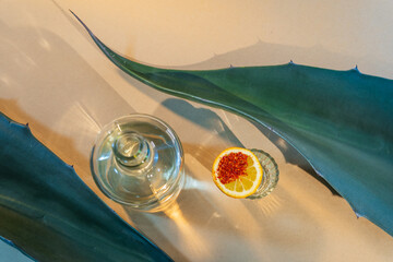 Mezcal bottle with agave leaf and orange on neutral background