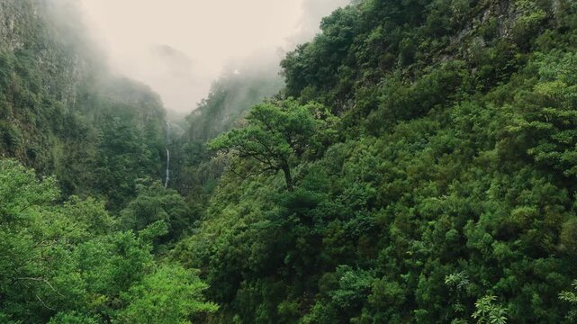 A dramatic aerial view of a misty valley in Madeira, covered in lush moss and subtropical vegetation. The camera flies through the valley toward the Cascata do Risco waterfall