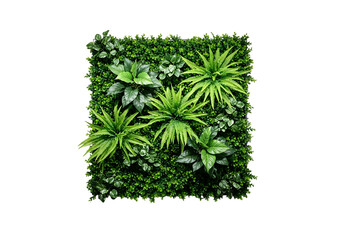 Lush green wall art