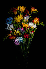 Kolorowe kwiaty na czarnym tle &ndash; elegancka, kontrastowa kompozycja florystyczna