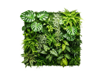 Lush indoor vertical garden