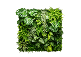 Lush indoor vertical garden