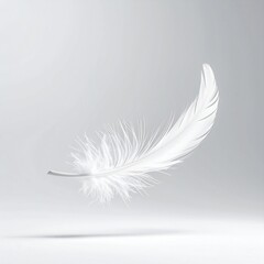 Obraz premium Soft White Feather