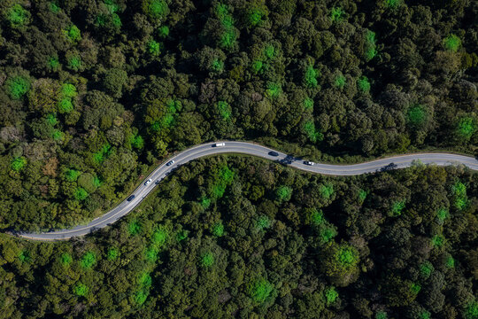 Forest road, road in beautiful autumn forest at sunset, trees with red and orange leaves, Beautiful landscape view from flying drone in Nature, Rainforest ecosystem, electric car driving, EV green