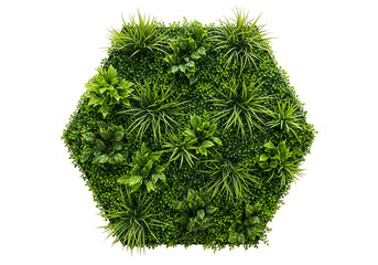 Hexagonal vertical garden with various green plants