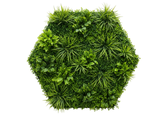 Hexagonal vertical garden with various green plants