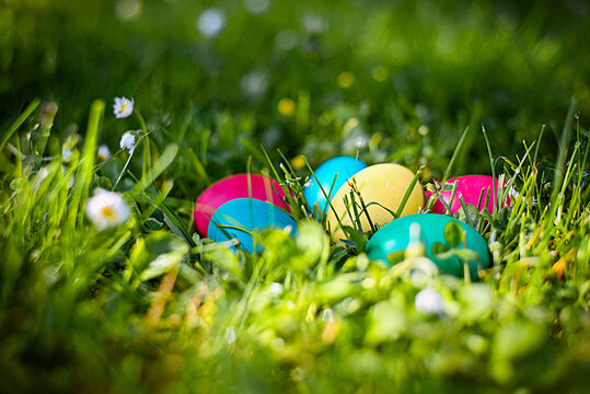 Close-up of multi coloured easter eggs on grass