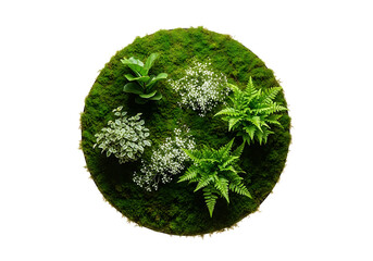 Circular moss garden with ferns