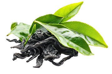 Fresh green leaves atop dried dark tea leaves