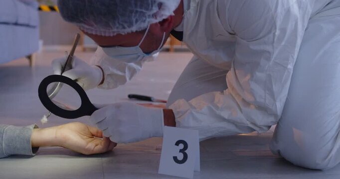 Focused male criminologist gathers evidence from a dead body on floor at a crime scene in a home, using a magnifier as part of the CSI team, police investigation and law enforcement.