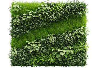 Vertical garden with various green plants