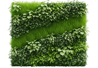 Vertical garden with various green plants