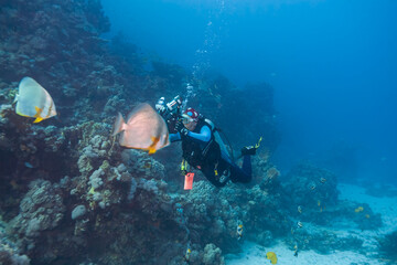 Scuba diver with underwater camera photographing tropical reef fish near a coral wall in clear blue ocean water, showing marine life exploration, underwater photography and adventure diving.
