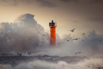 Lighthouse Amid Stormy Seas with Birds
