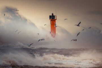 Seagulls Flying Over Stormy Ocean Waves