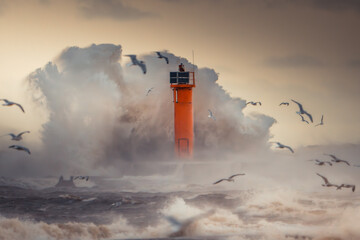 Lighthouse Amidst Ocean Waves with Seabirds