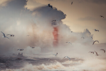 Birds flying over misty coastal waters at sunset
