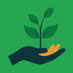 hand holding green plant