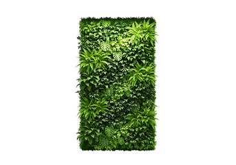Lush green vertical garden