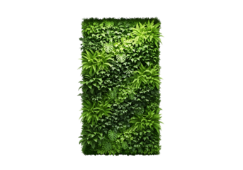 Lush green vertical garden