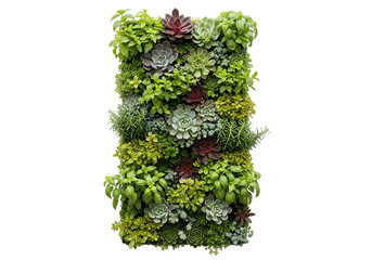 Vertical garden with assorted succulents