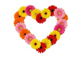 Heart shape of flowers, isolated on transparent background