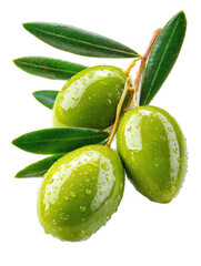 Glossy green olives with water droplets and leaves